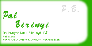 pal birinyi business card